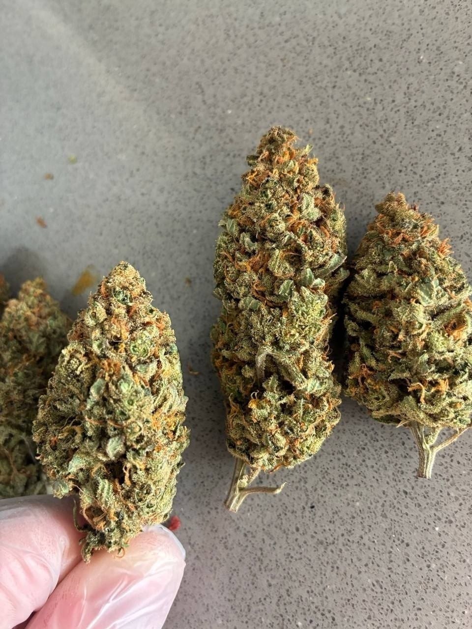 3g Marijuana 🥦 WIW🥦 Paljassaare (🌿Amnesia)